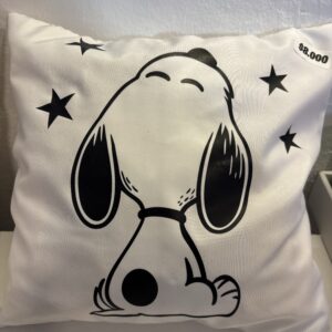 Almohadones 30x30cm con frase y color a elección